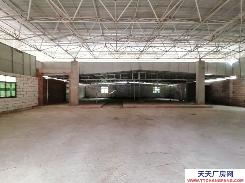 (出租) 河源紫金江東新區 600單一層鋼構廠房 食品批發倉庫隨時看廠