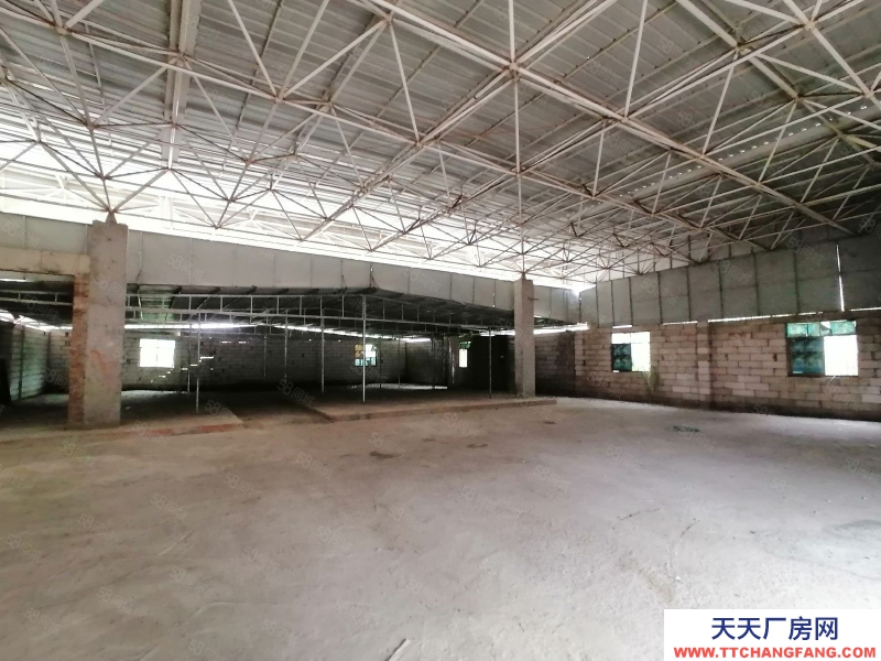 (出租) 河源紫金江東新區 600單一層鋼構廠房 食品批發倉庫隨時看廠