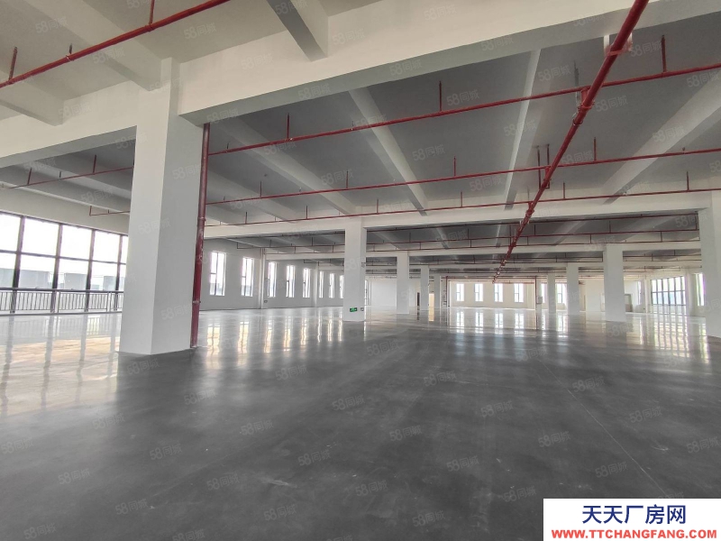 (出租) 河源紫金全新500平起分 2000平一層可做食品添加劑行業