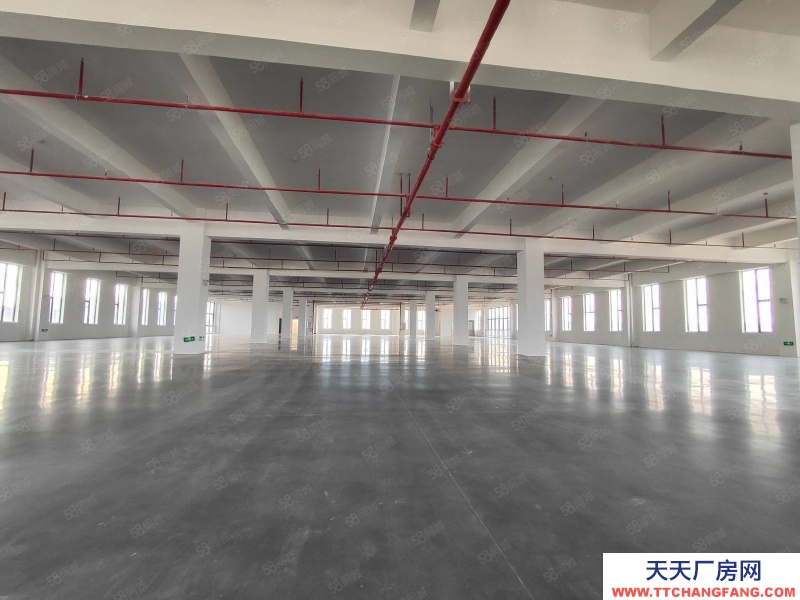 (出租) 河源紫金全新500平起分 2000平一層可做食品添加劑行業