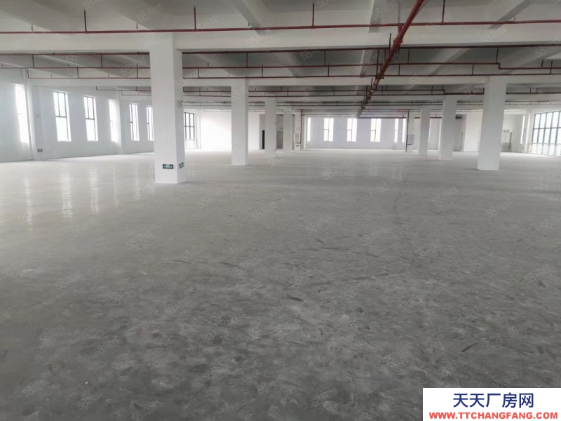 (出租) 河源紫金緯二路新出原房東30000平米花園式廠房可做罐頭行業(yè)