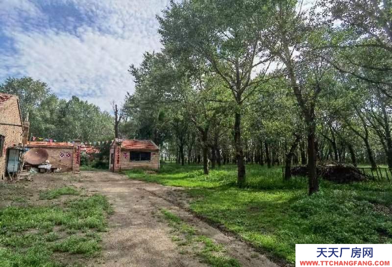 張家口 沽源 (出租) 大型養殖場，手續齊全！