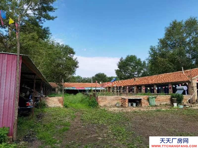 張家口 沽源 (出租) 大型養殖場，手續齊全！