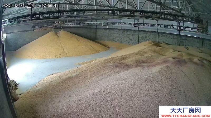 張家口 蔚縣 (出租) 可烘干玉米，見面詳議