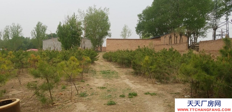 張家口 蔚縣 (出租) 蔚縣縣城附近七畝大院出租。