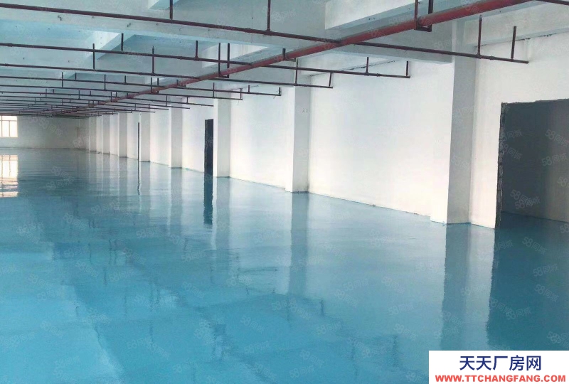 (出租) 河源東源500平東源出口附近，帶裝修地坪漆辦公室廠房出租可做休閑食品