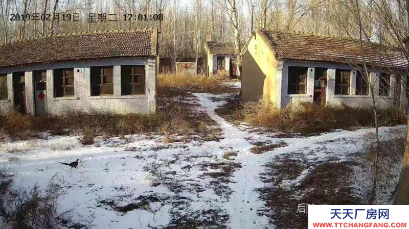 張家口 懷安 (出租) 有水有三相電，可以注冊公司，開辦養殖場