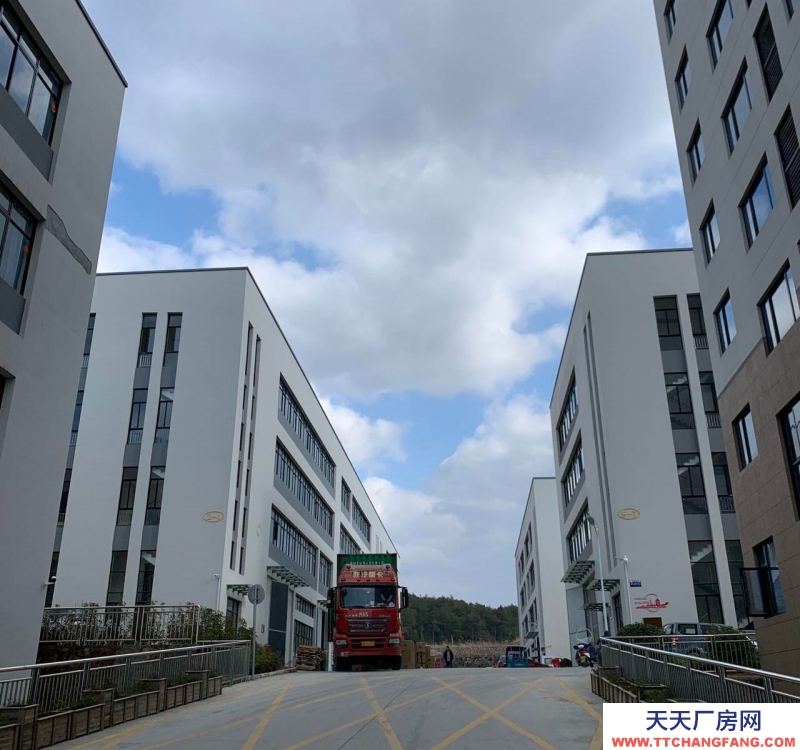 金華市磐安(出售) 標準廠房，獨立產證，50年產權，可以定制。組裝 包裝 電子 貿易