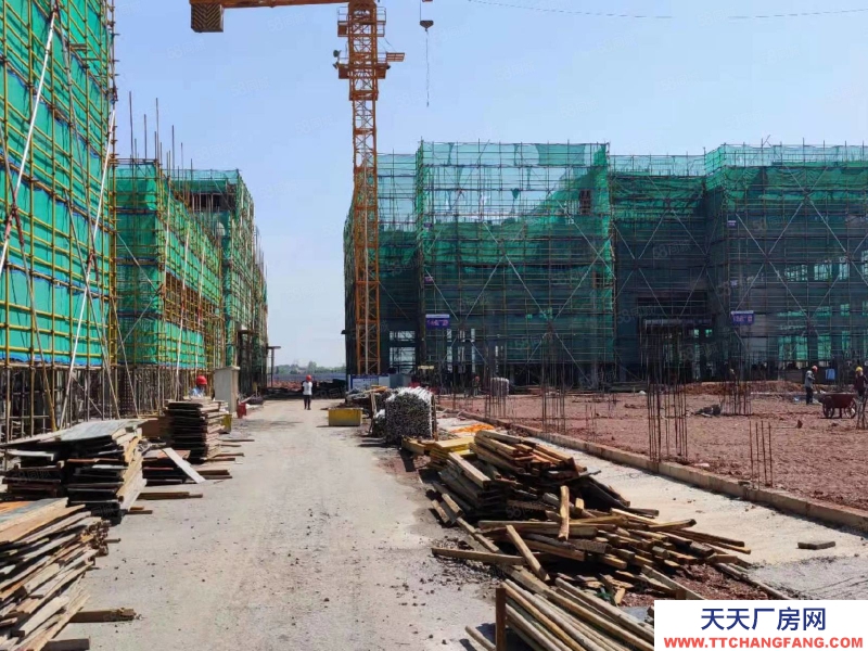 金華市磐安(出售) 兩證齊全，50年產權，標準廠房，獨棟出售 智能家具