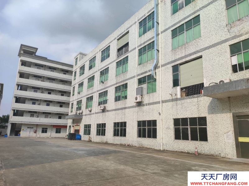 (出租) 河源東源低價出租6000平方村委獨院廠房出租可分租適合五金加工