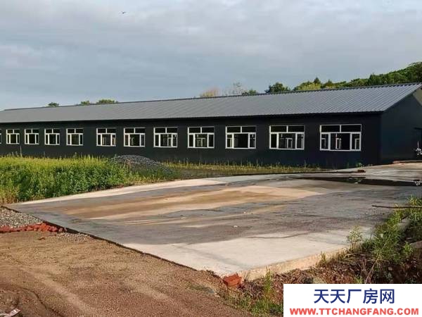 五常養(yǎng)豬場，（全新豬場）