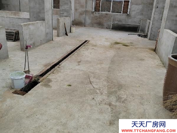 龍沙急急急急，低價出租，可當(dāng)養(yǎng)殖和倉庫，非誠勿擾