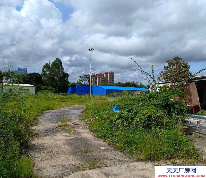 (出租) 陽江江城市區汽車總站對面土地約7000方適合做堆場，金屬回收站