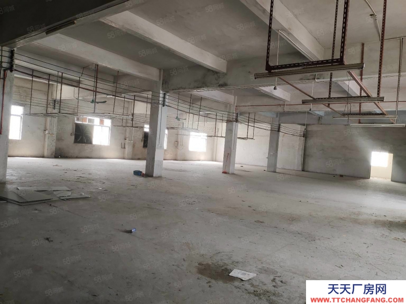 (出租) 陽江江城平郊大路邊700平方框架廠房只租6500元月適合電商