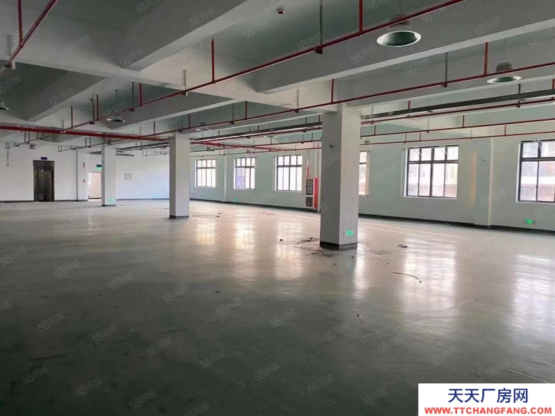 金華市東陽(出售) 東陽全新廠房出售，1000平起售首付2成帶食堂宿舍交通方便