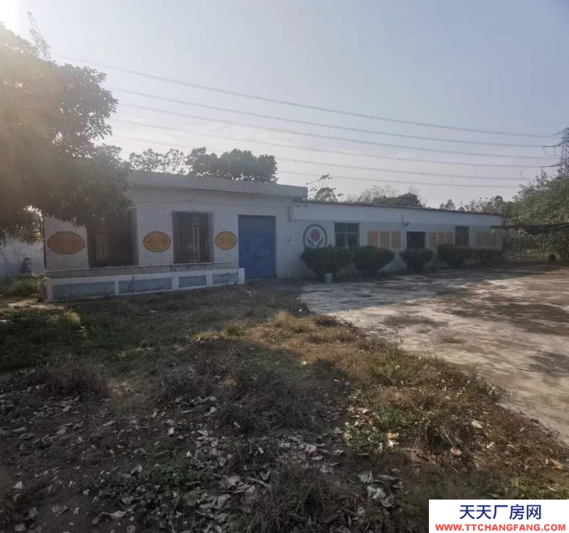 (出租) 陽江陽西求整租，有圍墻保安亭，臨近高鐵站高速口國道適合機械加工