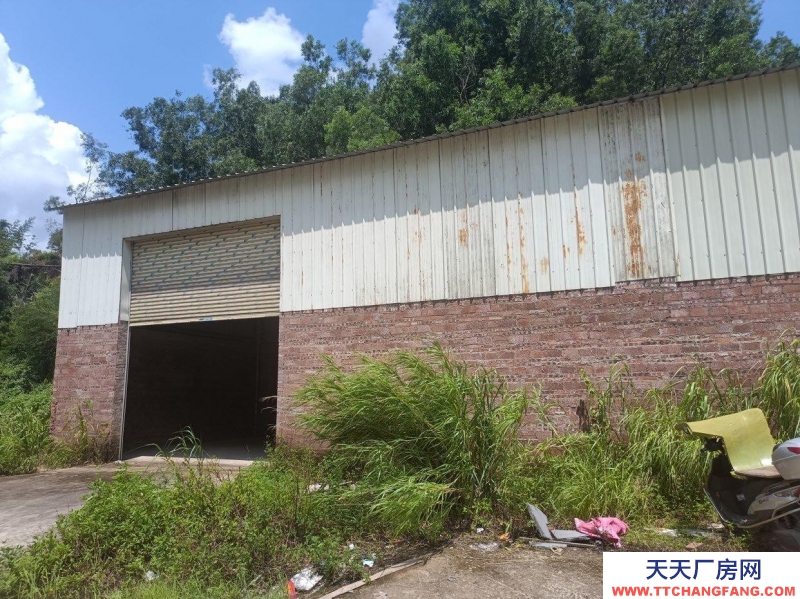 (出租) 陽江陽春交通便利大型貨柜車可進出做倉庫或小型工廠三相電有個停車位