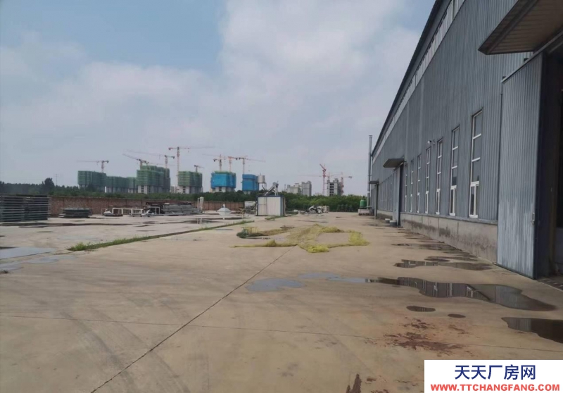 滄州 新華(出租)小麥粉 廠房高12米，寬敞！進出車方便！