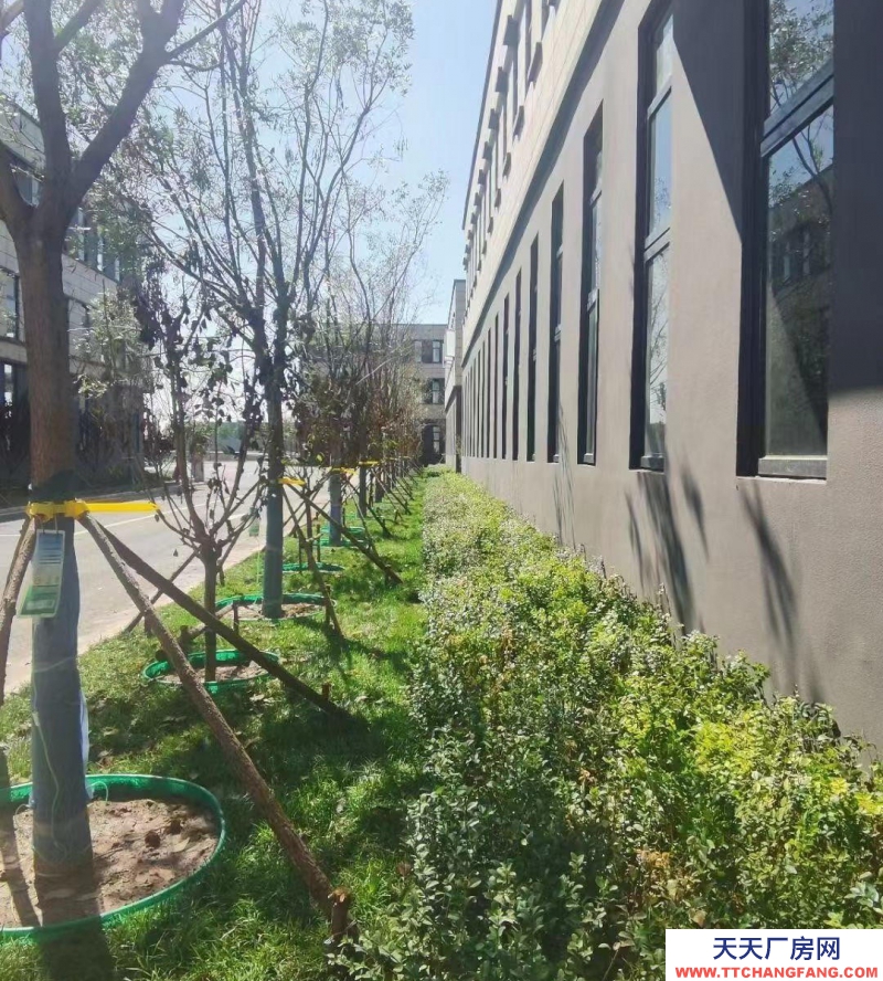 滄州 新華(出租) 出租獨棟包裝飲用水廠房1000-5000㎡，可辦環評。