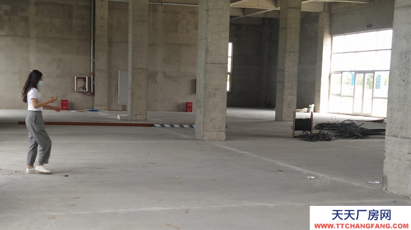 滄州 新華(出售) 出售滄州開發區廠房 單層廠房多層食品廠房可定制