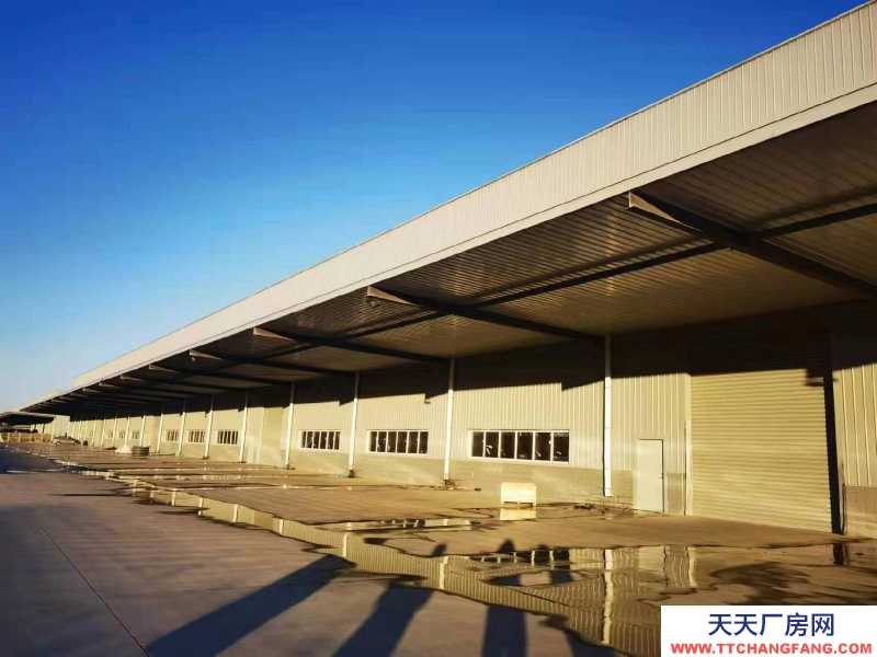 滄州 鹽山(出租) 出租滄州高標準食品廠房 高15米 跨度20米中間無立柱 有天車