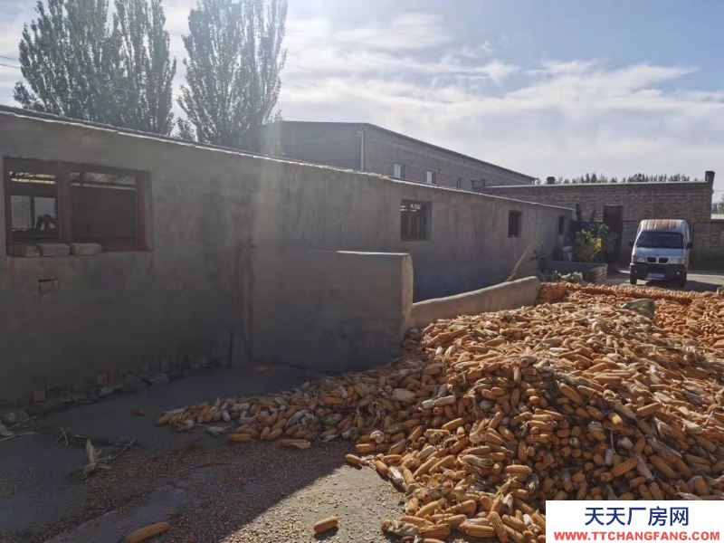 (出售) 包頭成型個(gè)人養(yǎng)殖場(chǎng)出售出租