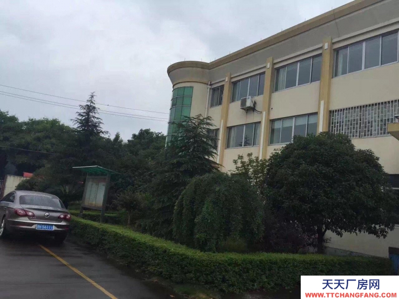 衢州市柯城(出租) 800-900平方米 整樓或分層出租