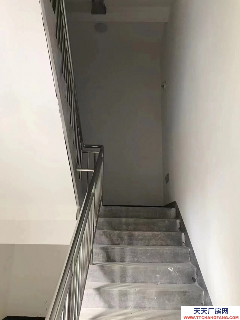 獨棟雙拼廠房，小面積戶型。