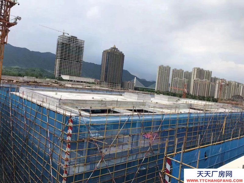 獨棟雙拼廠房，小面積戶型。