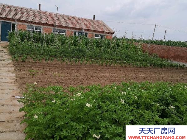 梅里斯適合各種養殖業，環境好，空氣好，養殖設備齊全