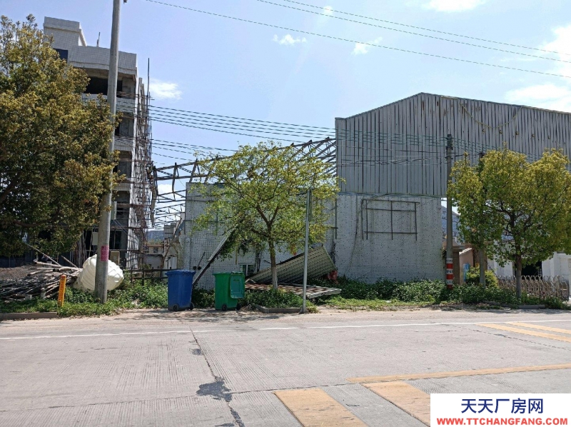 (出租) 新豐高速口斜對面（往新豐方向600米）物流倉儲