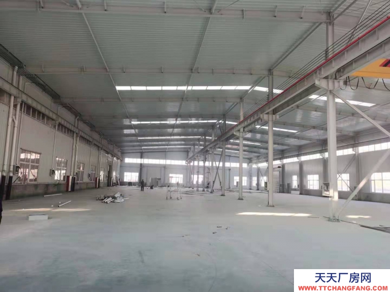 滄州 鹽山(出租) 滄州青縣糧食加工品廠房出租出售