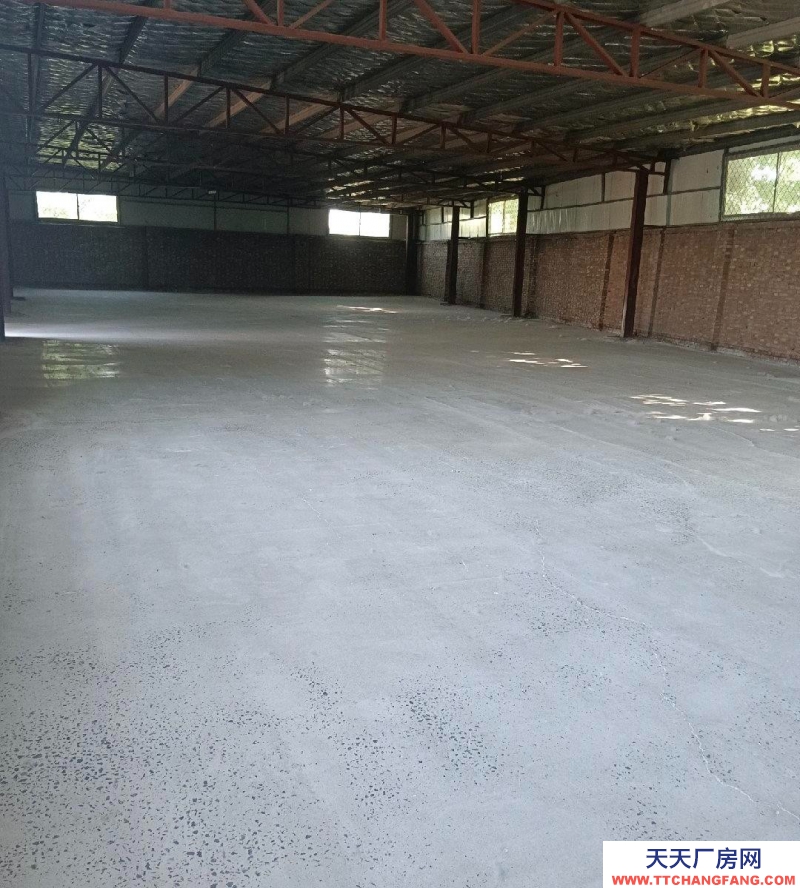 滄州 青縣(出租) 新發酵灌制品廠房，地面固化，水電齊全，