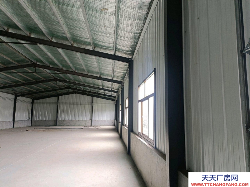 滄州 青縣(出租) 新建食醋廠房出租出售分租