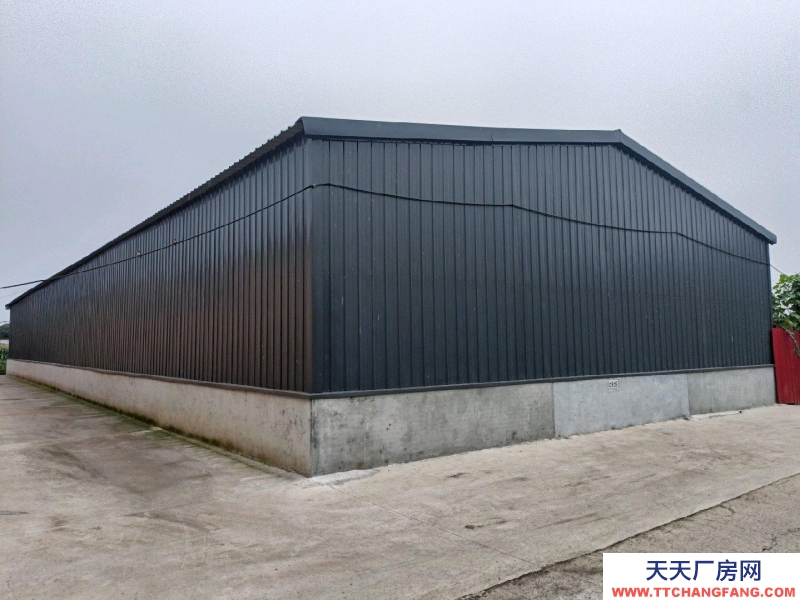 滄州 青縣(出租) 新建食醋廠房出租出售分租