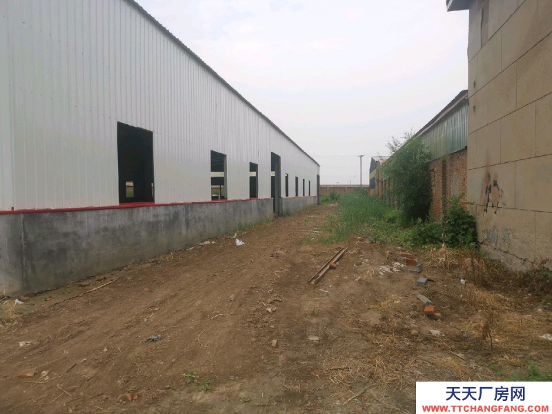 滄州 青縣大米廠房(出售) 坐落在工業園區，交通便利