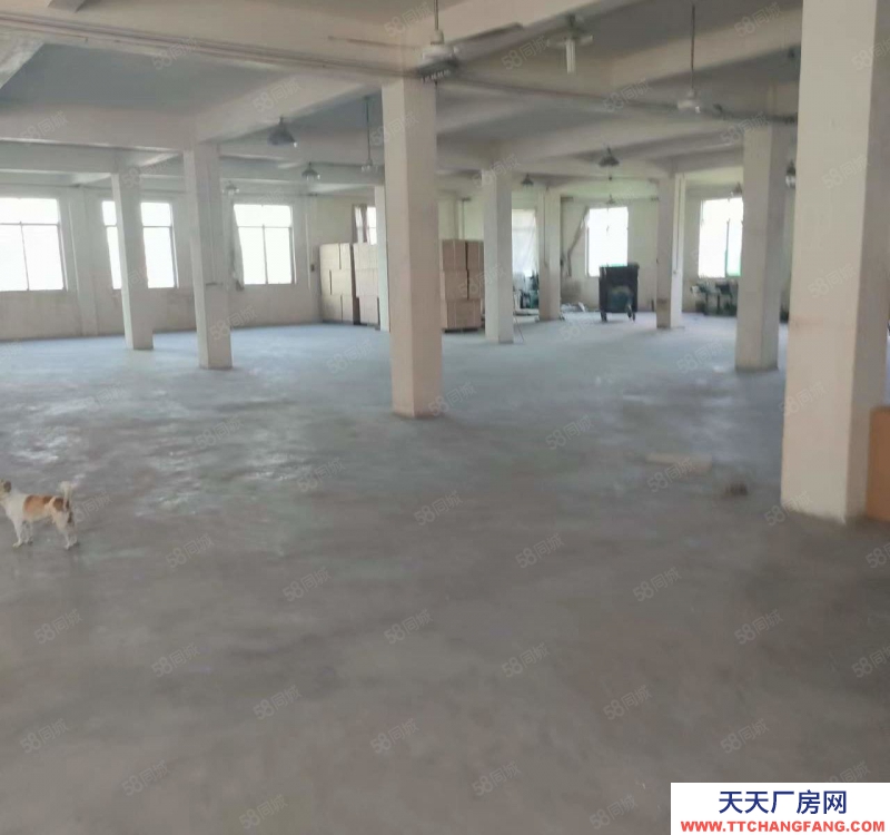 (出租) 潮州潮安彩塘金一村獨(dú)院一樓廠房900平方米可做生產(chǎn)經(jīng)營