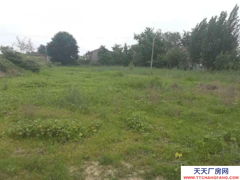 滄州 滄縣(出售) 滄州東高速口一公里，建設(shè)用地3000平米，有正規(guī)手續(xù)。