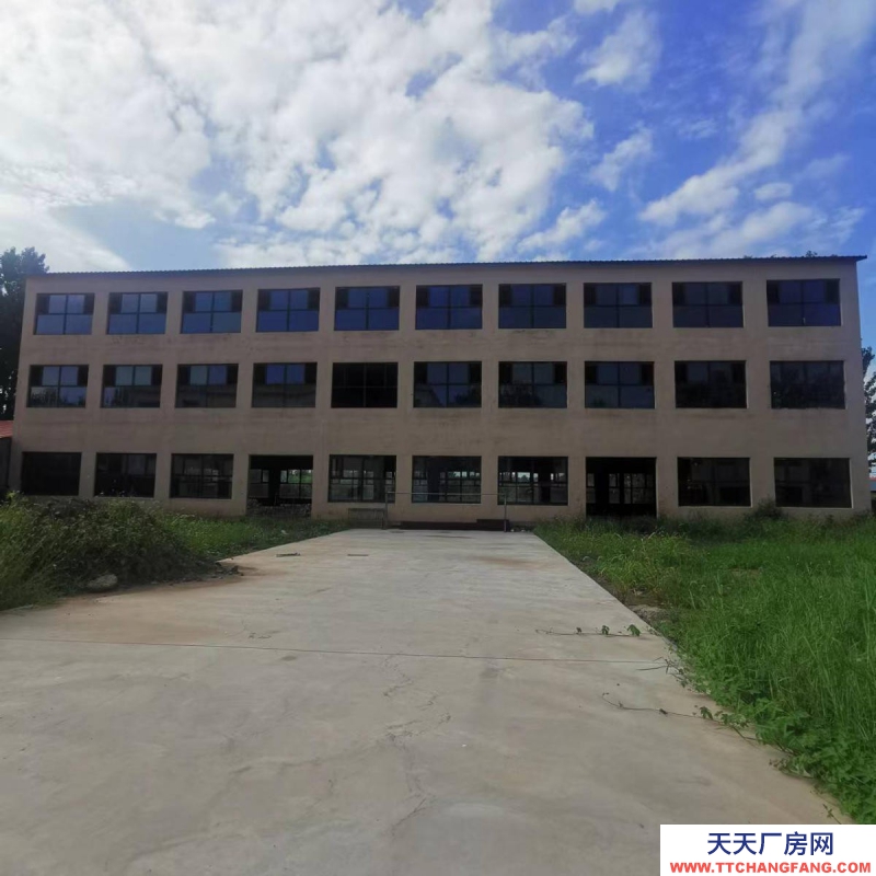 滄州 滄縣(出售) 出售滄縣2500平水產制品廠房6畝地