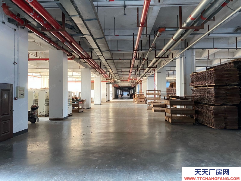 衢州市龍游(出租) 10噸汽車電梯可上樓，歡迎大家居輕加工類企業進駐