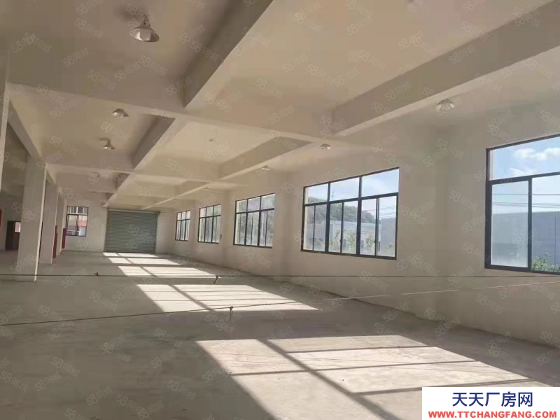 衢州市龍游(出租) 標準廠房火熱招商，汽車電梯上樓，層層都是一樓。調味品   肉制品