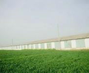 (出租)駐馬店遂平 環境優美，地理位置優越