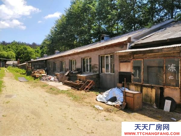 東山養(yǎng)殖場，有耕地4畝，有深水井，動力電，各種養(yǎng)殖機械