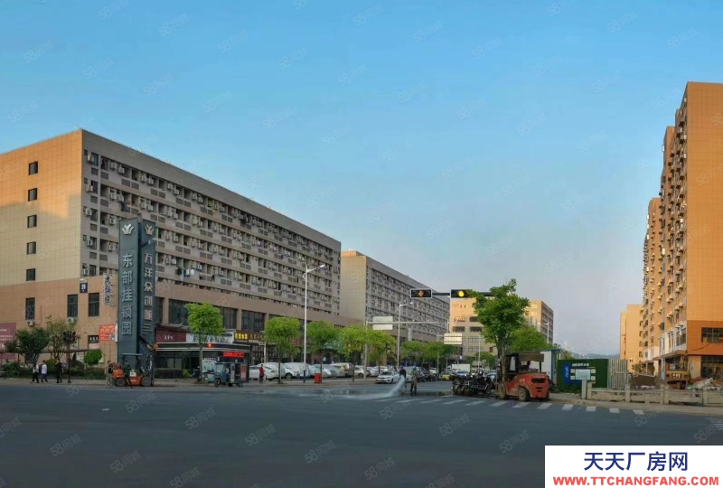 衢州市龍游(出售) 獨棟廠房出售，大小面積都有，帶獨立產(chǎn)權(quán)，花園式廠房