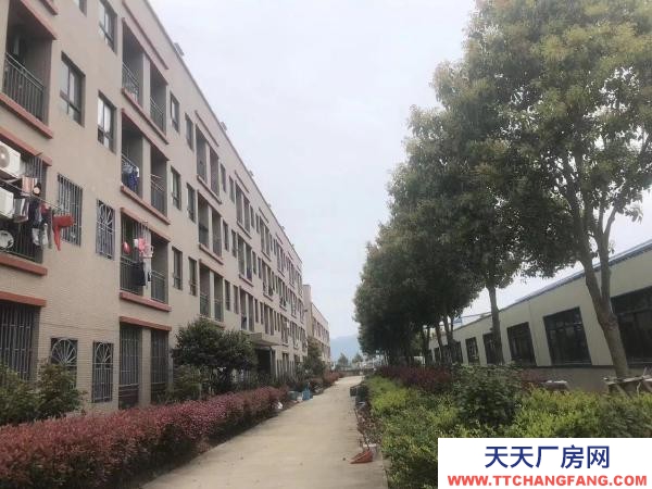 福州市福清調味料廠房 出租福清陽下洪寬工業村自有標準廠房 房東直租 租金面議