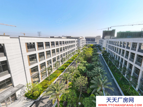 福州市福清罐頭廠房 福耀集團旁 低價3字頭整棟1800方起 獨立紅本帶車位飯堂