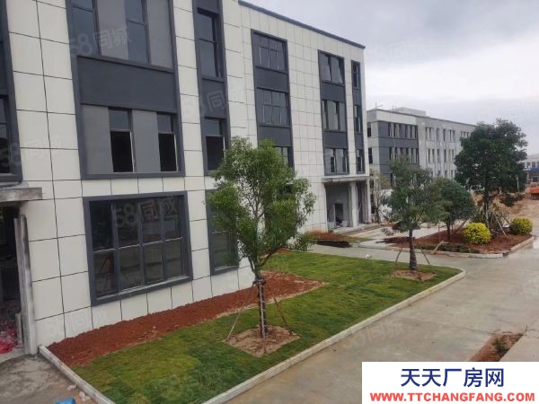 福州市福清糖果廠房  福清全新廠房招商 歡迎來電咨詢