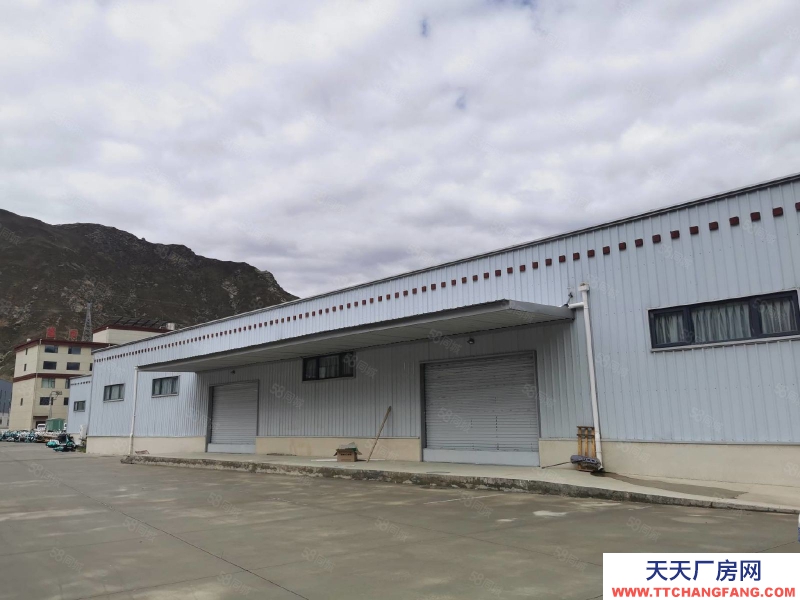 (出租) 拉薩堆龍德慶柳梧高新區 標準廠房 恒溫恒濕 1100平可做液態奶類