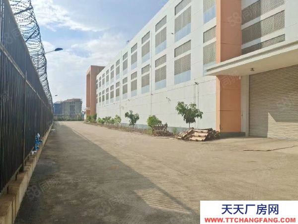 福州市長樂機加工廠房 長樂松下,占地22畝,價格實惠