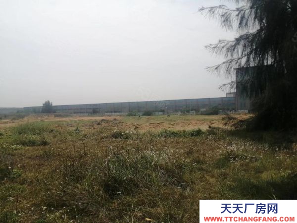 福州市長樂機加工廠房 新出長樂空港沿大路（工業土地）轉讓